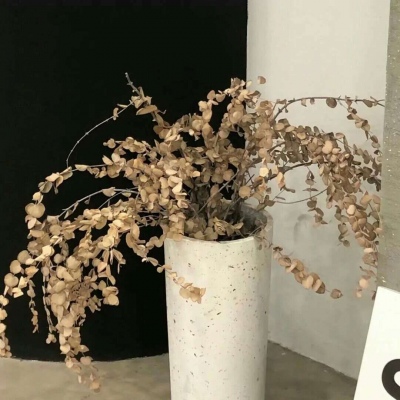 兽设比例设计基础教程福瑞交流群